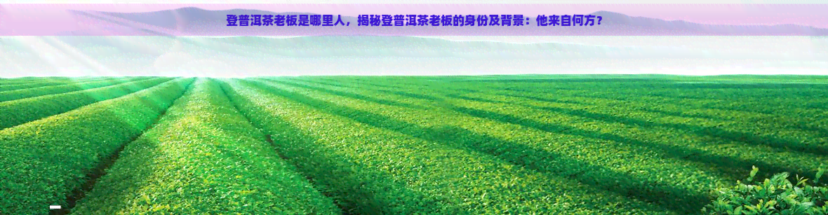 登普洱茶老板是哪里人，揭秘登普洱茶老板的身份及背景：他来自何方？