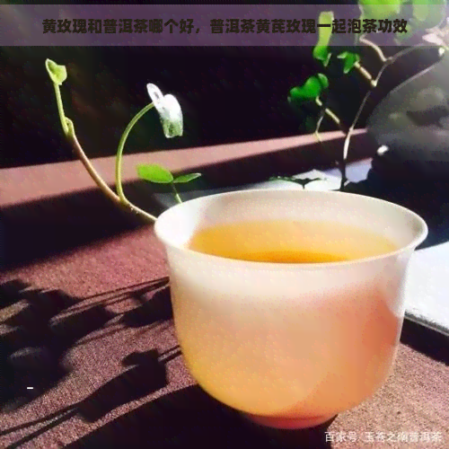 黄玫瑰和普洱茶哪个好，普洱茶黄芪玫瑰一起泡茶功效