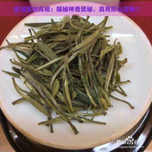 普洱茶的真相：揭秘神奇奥秘，真有那么好吗？