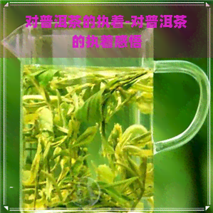 对普洱茶的执着-对普洱茶的执着感悟