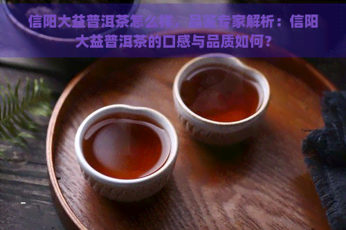 信阳大益普洱茶怎么样，品鉴专家解析：信阳大益普洱茶的口感与品质如何？