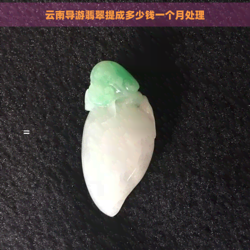 云南导游翡翠提成多少钱一个月处理