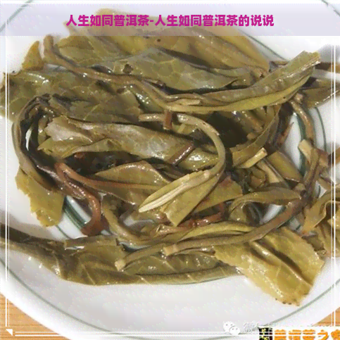 人生如同普洱茶-人生如同普洱茶的说说