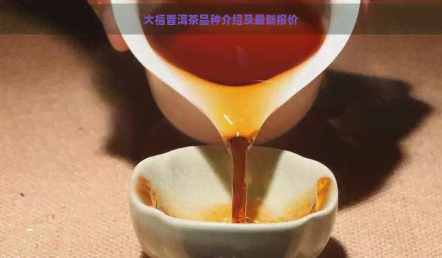 大福普洱茶品种介绍及最新报价