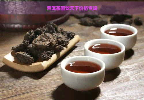 普洱茶国饮天下价格查询