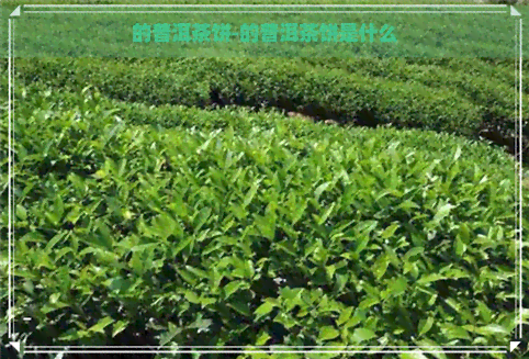 的普洱茶饼-的普洱茶饼是什么