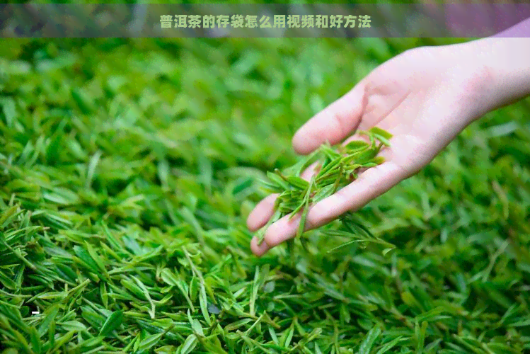 普洱茶的存袋怎么用视频和好方法