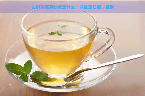 古树普洱茶缺点是什么，好处及口感、区别