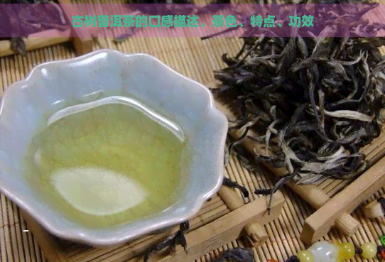 古树普洱茶的口感描述、茶色、特点、功效