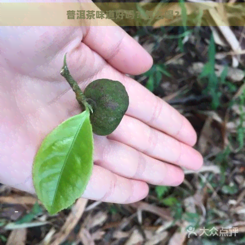 普洱茶味道好吗？怎么喝？