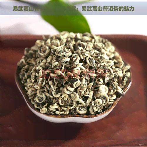 易武高山普洱茶，探寻品质：易武高山普洱茶的魅力