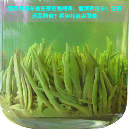 普洱茶班章是生茶还是熟茶，普洱茶班章：生茶还是熟茶？揭秘其真实面貌