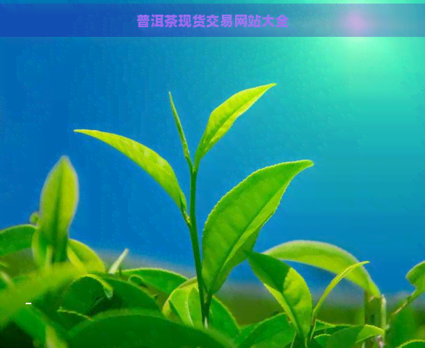 普洱茶现货交易网站大全