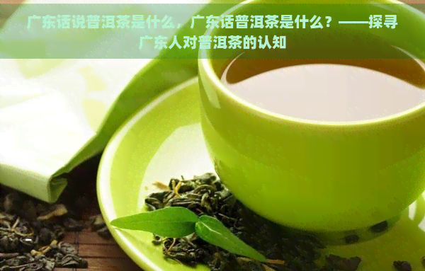 广东话说普洱茶是什么，广东话普洱茶是什么？——探寻广东人对普洱茶的认知