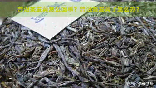 普洱茶发黄怎么回事？普洱茶发黄了怎么办？