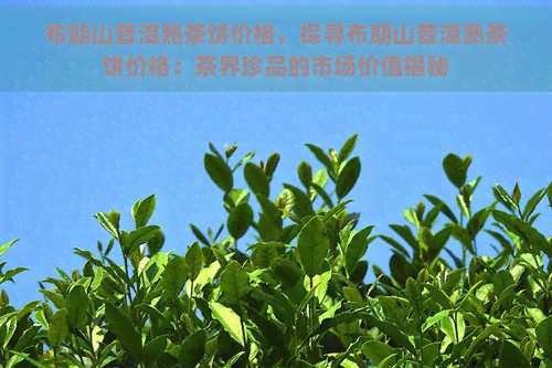 布朗山普洱熟茶饼价格，探寻布朗山普洱熟茶饼价格：茶界珍品的市场价值揭秘