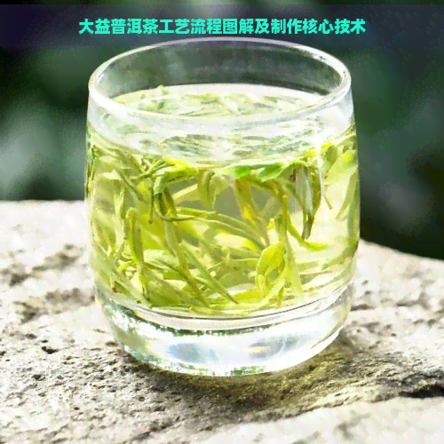 大益普洱茶工艺流程图解及制作核心技术