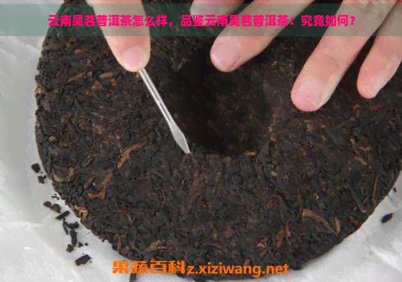 云南昊茗普洱茶怎么样，品鉴云南昊茗普洱茶：究竟如何？