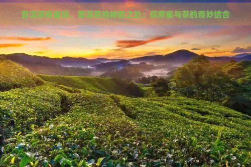 普洱茶有雀吗，普洱茶的神奇之处：探索雀与茶的奇妙结合