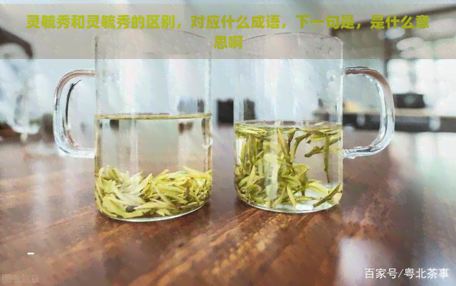 灵毓秀和灵毓秀的区别，对应什么成语，下一句是，是什么意思啊