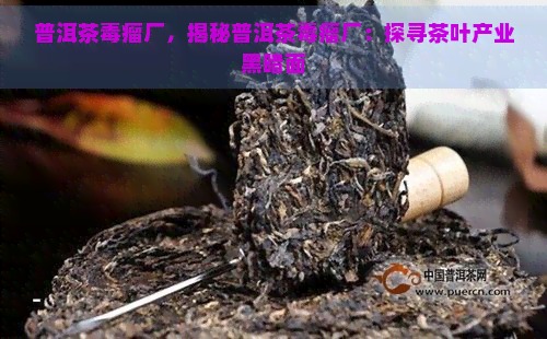 普洱茶瘤厂，揭秘普洱茶瘤厂：探寻茶叶产业黑暗面