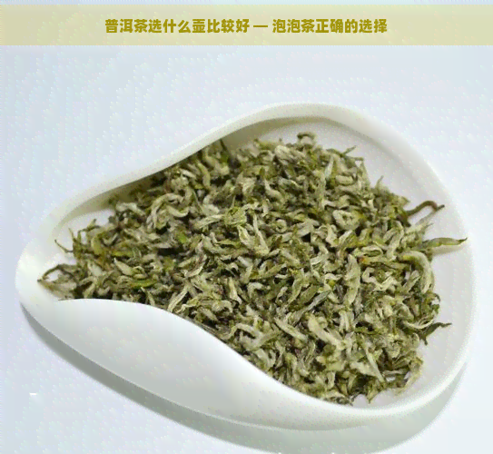 普洱茶选什么壶比较好 — 泡泡茶正确的选择