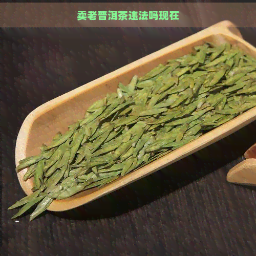 卖老普洱茶违法吗现在