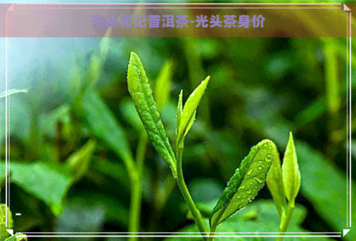 光头和记普洱茶-光头茶身价