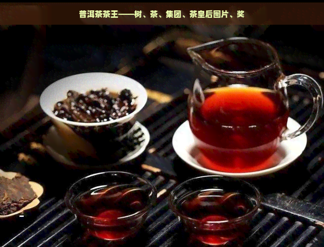 普洱茶茶王——树、茶、集团、茶皇后图片、奖