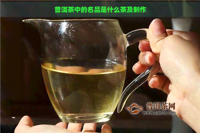 普洱茶中的名品是什么茶及制作