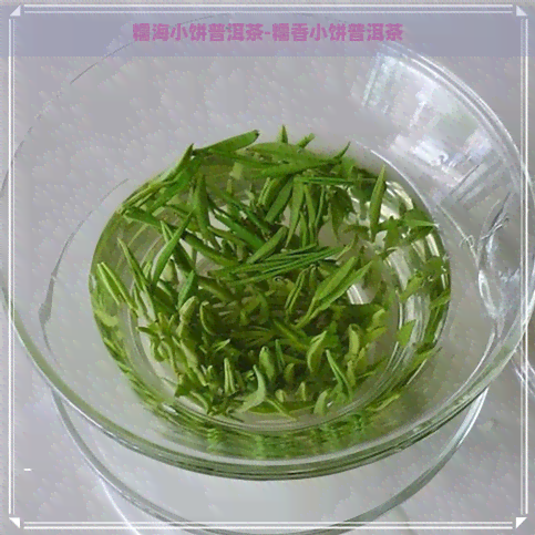 糯海小饼普洱茶-糯香小饼普洱茶