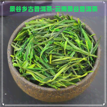 景谷乡古普洱茶-云南景谷普洱茶