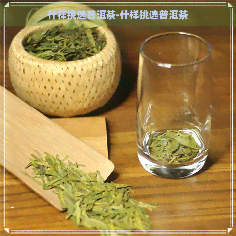 什样挑选普洱茶-什样挑选普洱茶