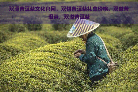 双源普洱茶文化官网，双饼普洱茶礼盒价格，双益普洱茶，双溢普洱茶