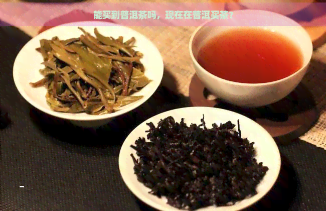 能买到普洱茶吗，现在在普洱买茶？