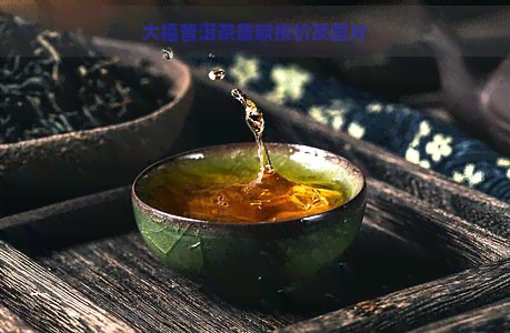 大福普洱茶最新报价及图片