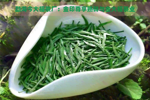 勐海今大福茶厂：金印尊享熟砖与金大福茶业