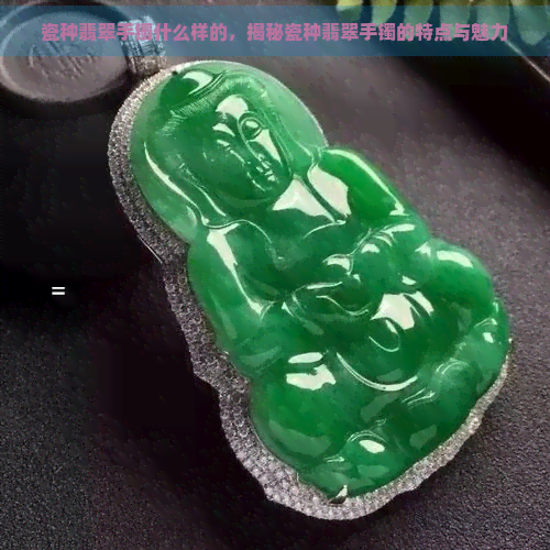 瓷种翡翠手镯什么样的，揭秘瓷种翡翠手镯的特点与魅力