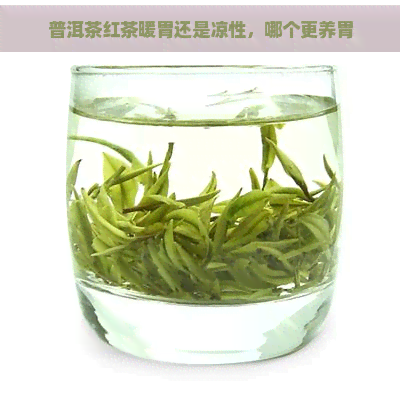 普洱茶红茶暖胃还是凉性，哪个更养胃