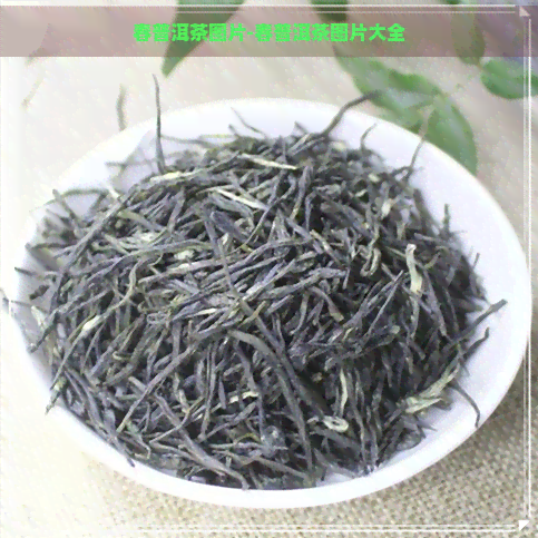 春普洱茶图片-春普洱茶图片大全