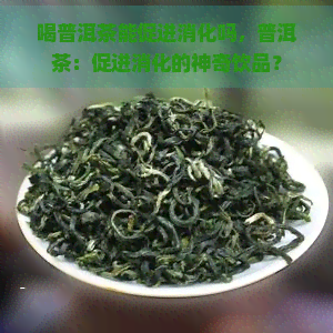 喝普洱茶能促进消化吗，普洱茶：促进消化的神奇饮品？