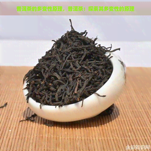 普洱茶的多变性原理，普洱茶：探索其多变性的原理