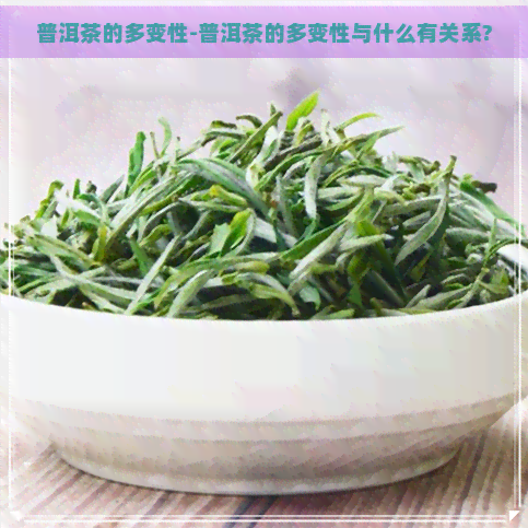 普洱茶的多变性-普洱茶的多变性与什么有关系?