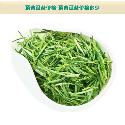 顶普洱茶价格-顶普洱茶价格多少