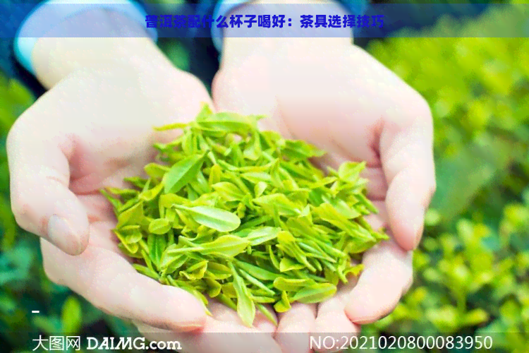 普洱茶配什么杯子喝好：茶具选择技巧