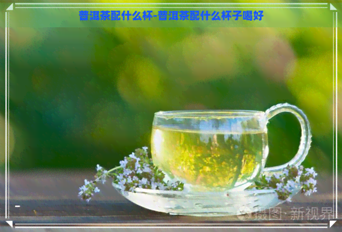 普洱茶配什么杯-普洱茶配什么杯子喝好