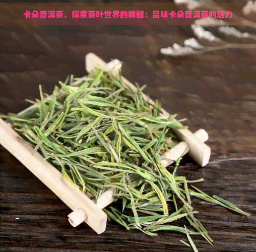 卡朵普洱茶，探索茶叶世界的精髓：品味卡朵普洱茶的魅力