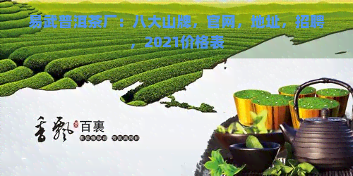 易武普洱茶厂：八大山牌，官网，地址，招聘，2021价格表