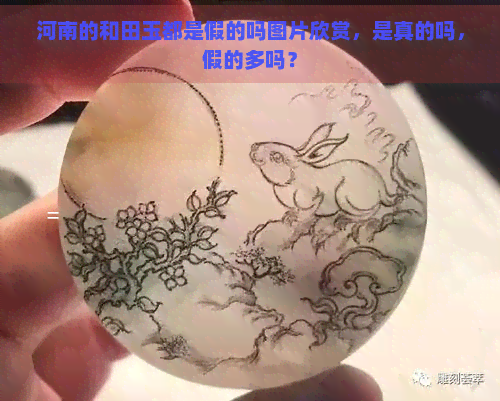 河南的和田玉都是假的吗图片欣赏，是真的吗，假的多吗？