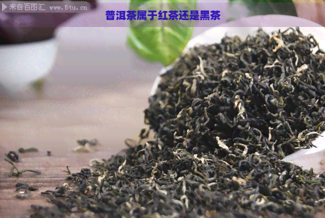 普洱茶属于红茶还是黑茶